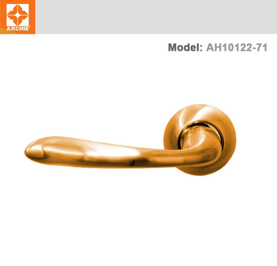 Iekšdurvju rokturis ARCHIE AH10122-71 – spīdīgs zelta tonis